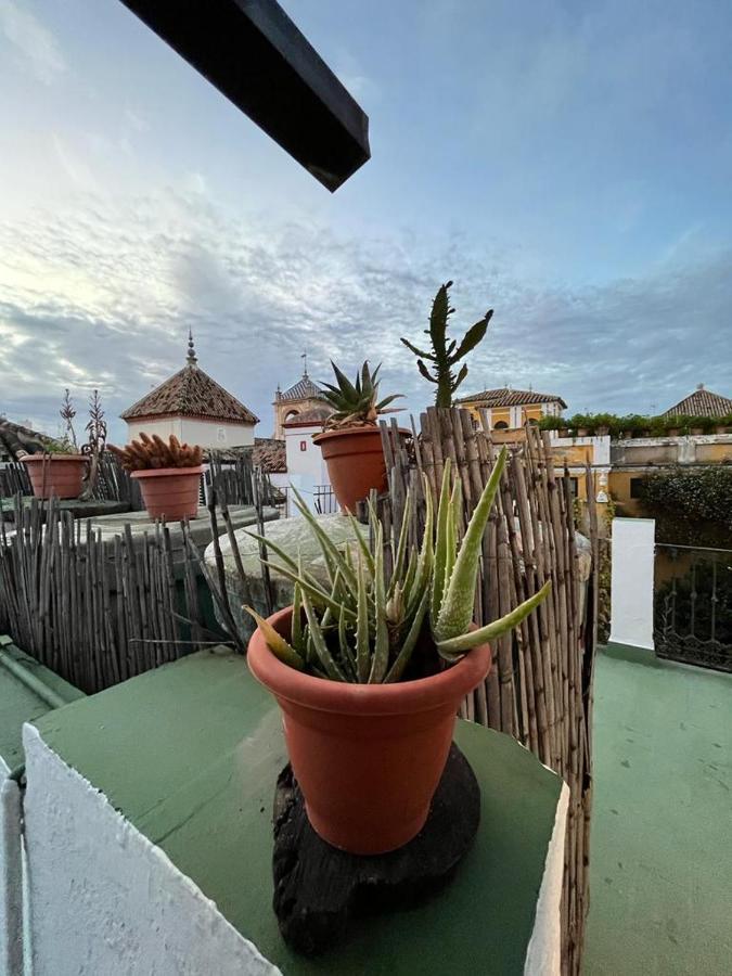 Bienvenido Guest house