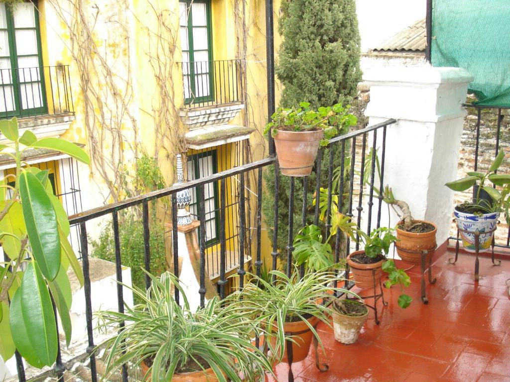 Bienvenido Guest house